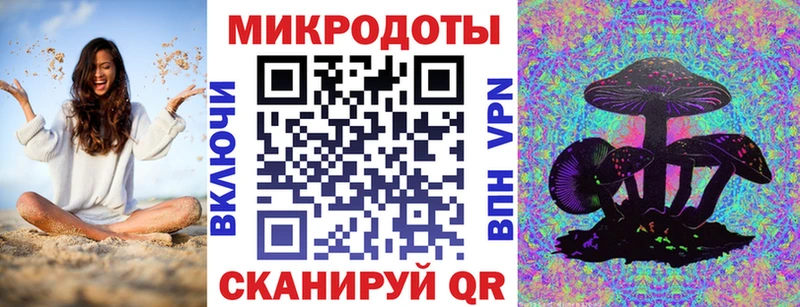 Псилоцибиновые грибы Cubensis  Козьмодемьянск 
